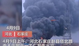 石家庄工厂爆料事件视频,真相背后引人深思